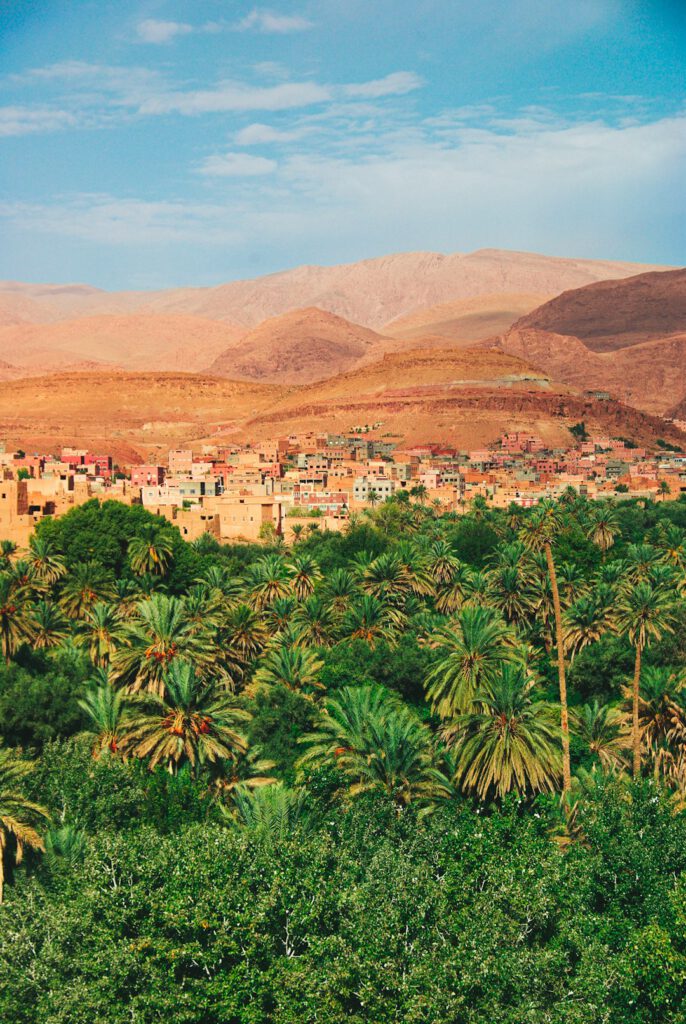 aerial view of trees and buildings during daytime